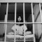 woman behind bars